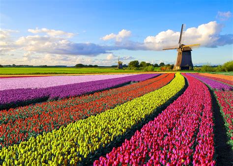 Netherlands